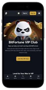 Bitfortune Live Table Experience A Responsible Approach