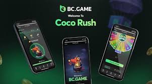 Complete Guide to BC.Game Withdrawal Process