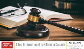 Understanding International Legal Help Navigating the Complexities of Global Law 1333586691