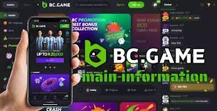 Understanding the BC.Game PK Login Process 653841441 Understanding the BC.Game PK Login Process 653841441