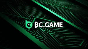 Unlocking Potential The Innovations of BC.CO Platform
