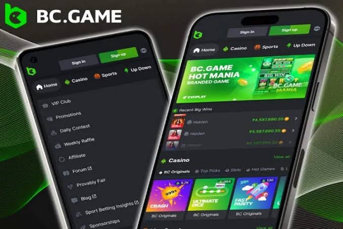 Explore the World of Gaming with BC.Game Mobile App